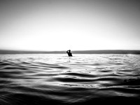 SURF CHECK