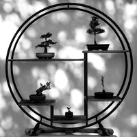 BONSAI SILHOUETTES