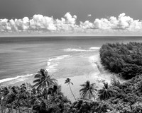ABSOLUTE PARADISE