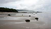 SCATTERED ASHORE