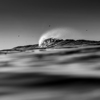 ISOLATION